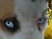 Фотография Ледяева Руслана