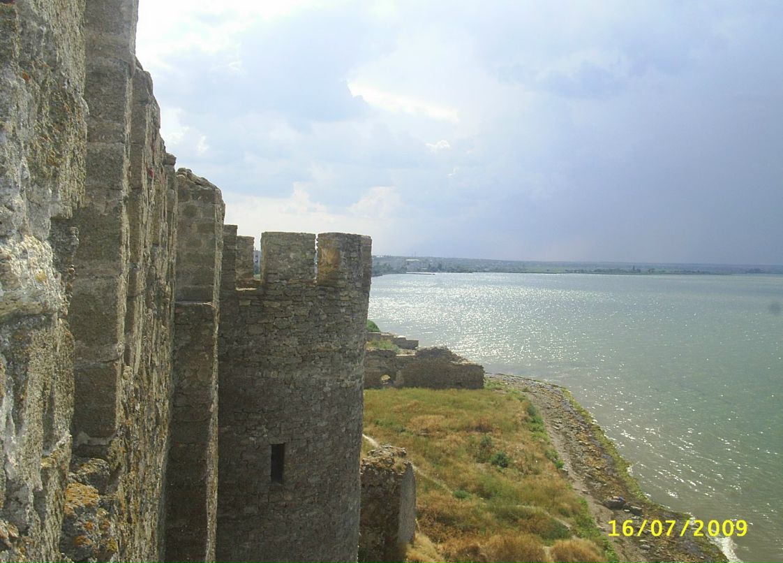 Міша Солтис фотография #50