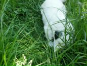 Соломія Юрченко фотография #28 (источник - https://vk.com/id80727518)