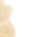 Сірожа Стицюк фотография #42 (источник - https://vk.com/id133380888)