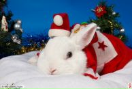 Фотография Нарыжного Никиты