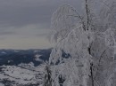 Назар Калінський фотография #24 (источник - https://vk.com/id68414925)