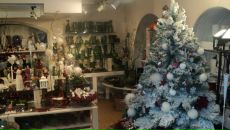 Фотография Николаевой Эли