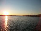 Bitnick Bitnick фотография #47 (источник - https://vk.com/id38109)