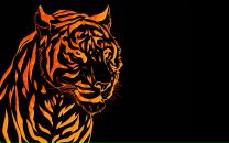 Вадім Гетманчук фотография #3 (источник - https://vk.com/id67859547)