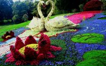 Руслана Мацієвич фотография #33 (источник - https://vk.com/id108247773)