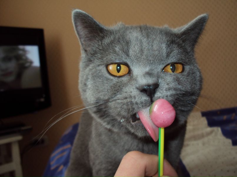 Иван Праздников фотография #11