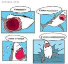 Вик Чик фотография #32 (источник - https://vk.com/id3466372)