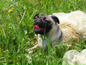 Фотография Егошин Алексей