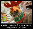 Андрій Лемішевський фотография #32 (источник - https://vk.com/id65081887)