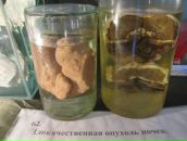 Любава Субботина фотография #22 (источник - https://vk.com/id69171592)