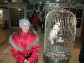 Віка Дрімак фотография #12 (источник - https://vk.com/id133771275)