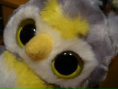 Фотография Назаренко Татьяны