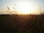 Вітя Расюн фотография #46 (источник - https://vk.com/id19268279)