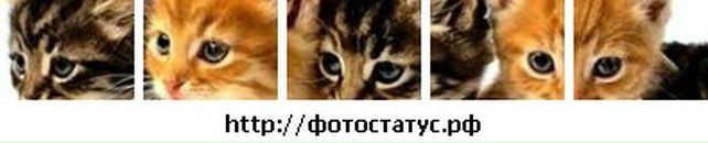 Аліна Третякович фотография #38 (источник - https://vk.com/id36342602)