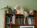 Люда Авраменко фотография #6 (источник - https://vk.com/id31746520)