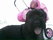 Фотография Деркач Ольги