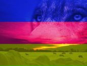 Фотография Кравцунова Ивана