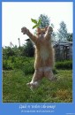 Андрюха Склярук фотография #21 (источник - https://vk.com/id11705905)