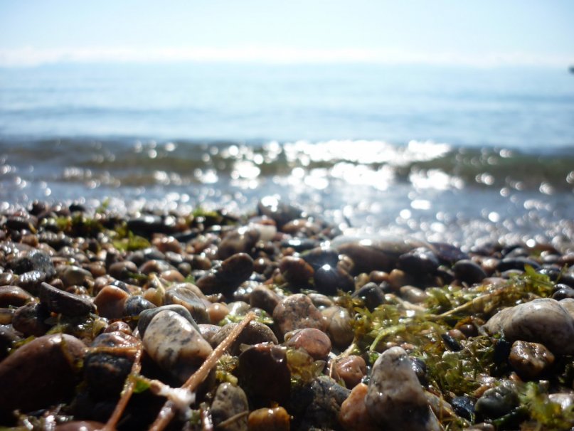 Дмитрий Семенченко фотография #42