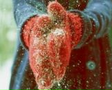 Фотография Чепурновой Елены