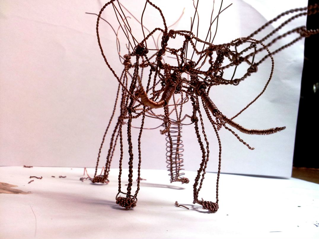 Виктор Назарет фотография #26