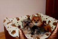 Фотография Ковальской Марии