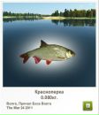Василь Базилів фотография #35 (источник - https://vk.com/id118254948)