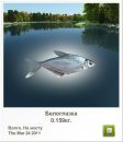 Василь Базилів фотография #31 (источник - https://vk.com/id118254948)