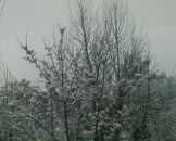 Фотография Шандренко Руслана