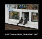 Андрій Шмирко фотография #38 (источник - https://vk.com/id14522230)