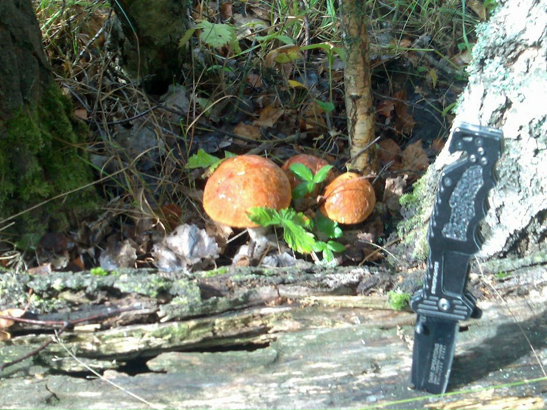 Юрий Сергеев фотография #48