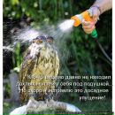 Фотография Fish Seld