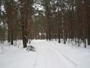 Фотография Михалева Егора