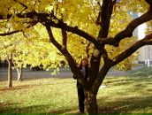 Фотография Потаповой Елены