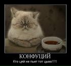 Анастасія Ch фотография #44 (источник - https://vk.com/id14537020)