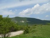 Макс Бородій фотография #40 (источник - https://vk.com/id35546735)