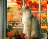 Фотография Багановой Ольги