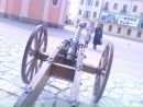 Любчик Гіджеліцький фотография #47 (источник - https://vk.com/id153156986)