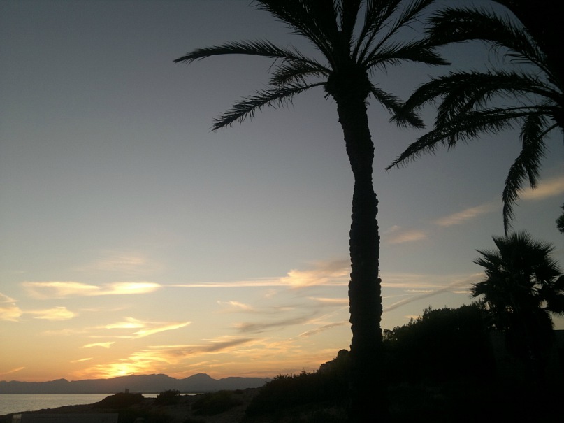 Юрий Сергеев фотография #8