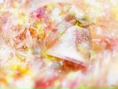 Фотография Пузановой Натальи