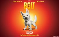 Вітя Савчишин фотография #3 (источник - https://vk.com/id78906004)