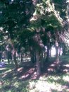 Валерій Соловей фотография #48 (источник - https://vk.com/id59973371)