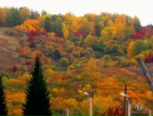 Фотография Пославской Надежды