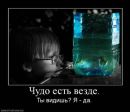 Сергій Погоріло фотография #22 (источник - https://vk.com/id59841416)