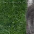 Каріно4ка♥ Шрамко фотография #38 (источник - https://vk.com/id147791993)