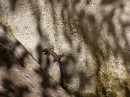 Юлія Малькіна фотография #40 (источник - https://vk.com/id11619545)
