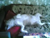 Максим Куварзін фотография #33 (источник - https://vk.com/id6530006)