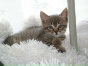 Валерій Матіїшин фотография #22 (источник - https://vk.com/id13193276)