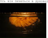 Аліна Гикава фотография #42 (источник - https://vk.com/id34293297)